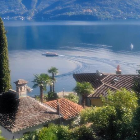 Residence Venus Garden Brissago Zewnętrze zdjęcie