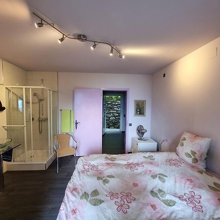 Residence Venus Garden Brissago Pokój zdjęcie