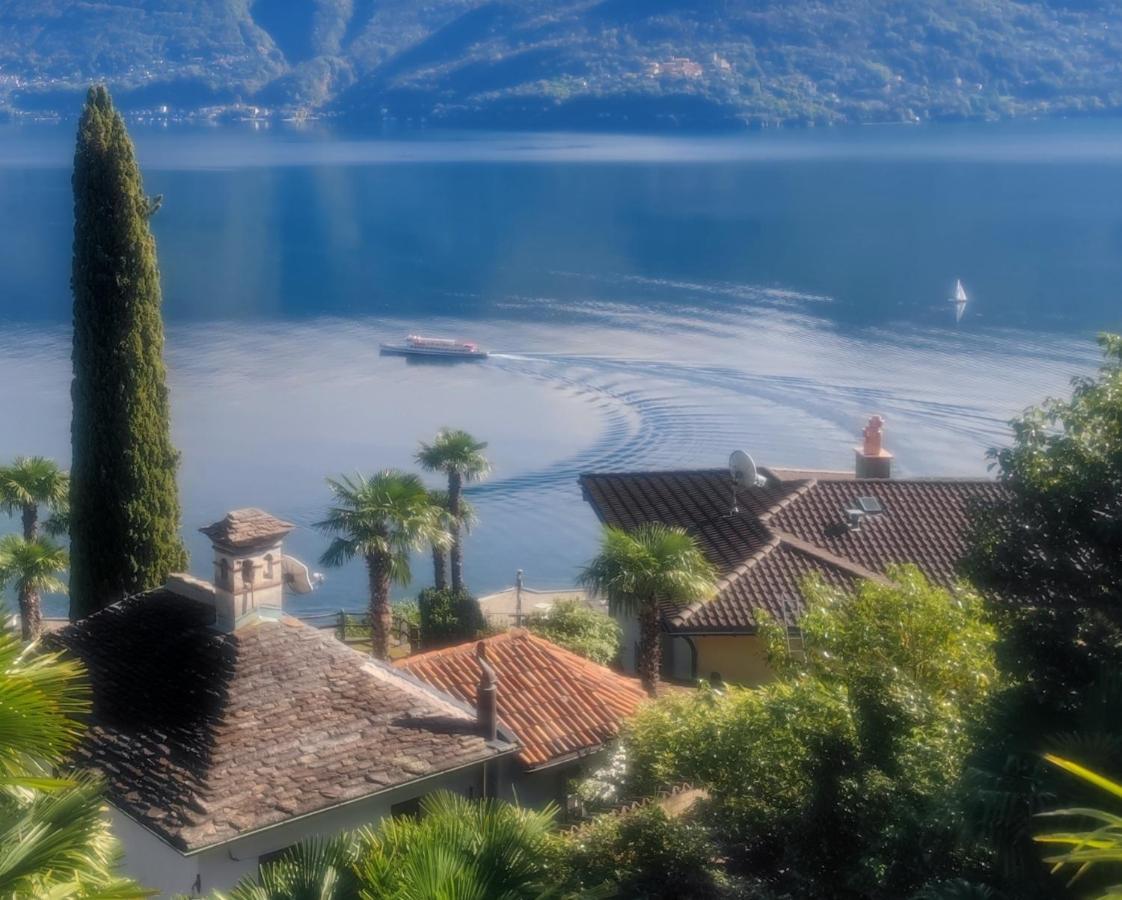 Residence Venus Garden Brissago Zewnętrze zdjęcie