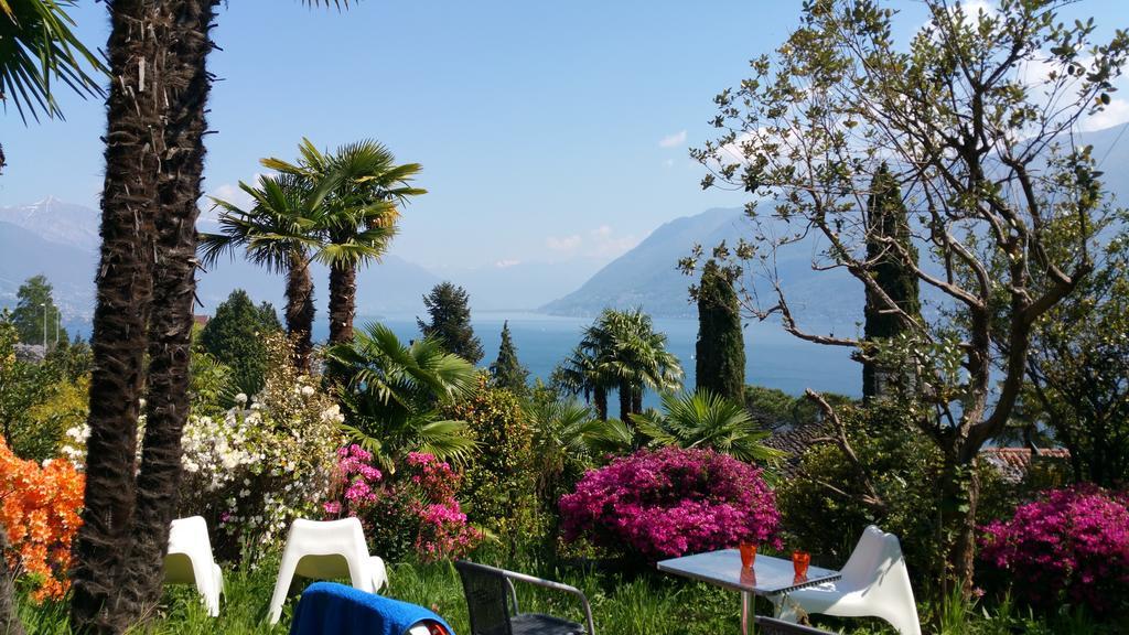 Residence Venus Garden Brissago Zewnętrze zdjęcie