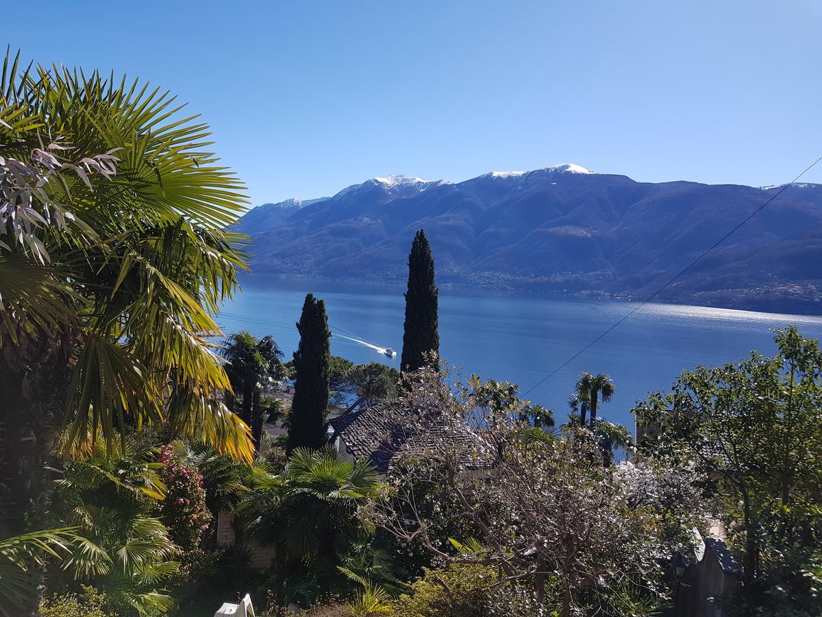 Residence Venus Garden Brissago Zewnętrze zdjęcie