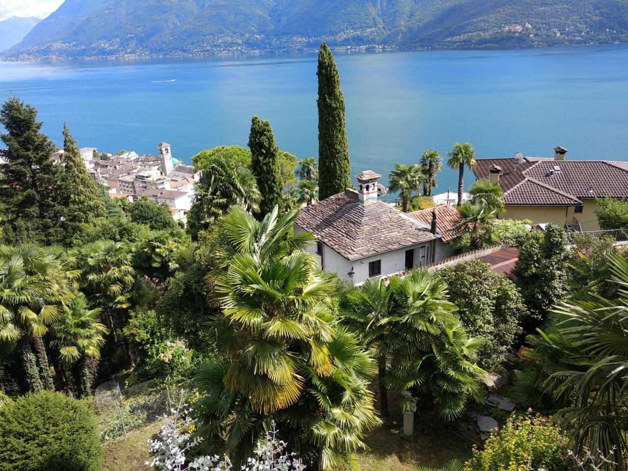 Residence Venus Garden Brissago Zewnętrze zdjęcie